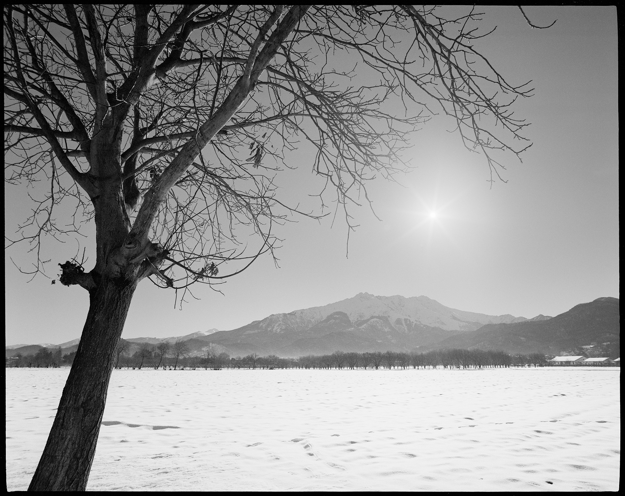 merry-simple-christmas-luigi-barbano-photography