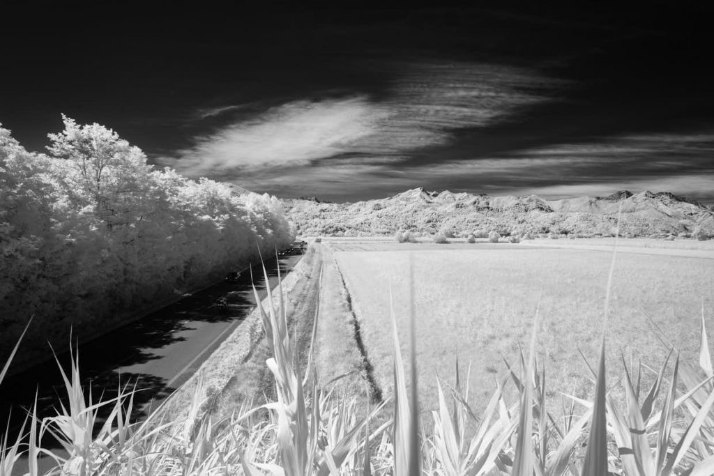 Infrared with X Pro 1