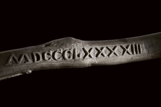 MDCCCLXXXXIII – DNA #1